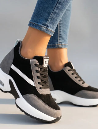 Black/Gray