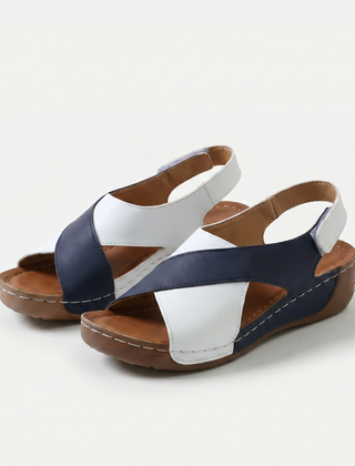 Blue/White